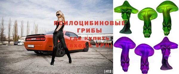 дурь Алексеевка