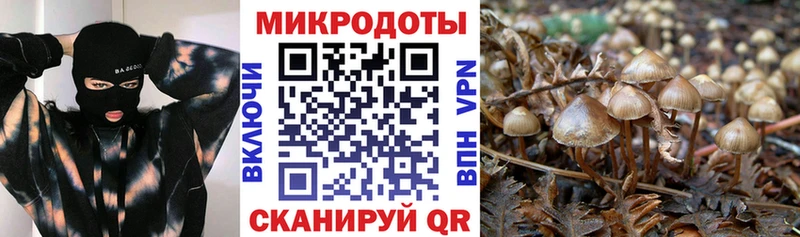 даркнет сайт  Коряжма  Галлюциногенные грибы GOLDEN TEACHER 